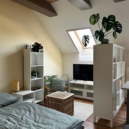 Utulny Apartman V Centre Kezmarku Kežmarok Екстериор снимка